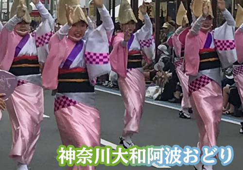 神奈川大和阿波おどりで華やかに舞う女性踊り子たち(ピンクの衣装)