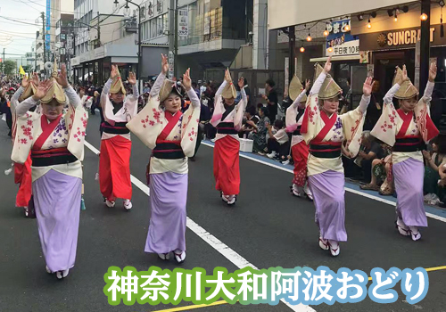 神奈川大和阿波おどりで通りを練り歩く女性踊り子たち(赤と紫の和装)